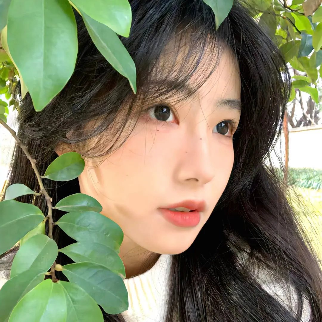 四季情